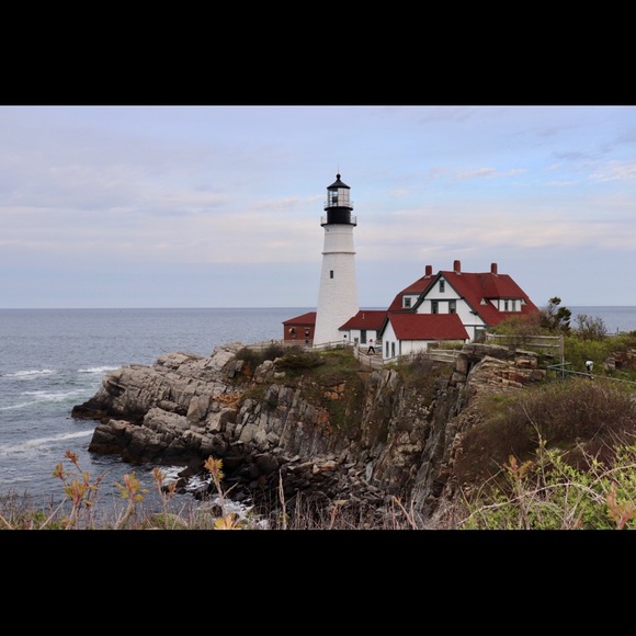 Meet your Posher, Sandy - Picture 4 of 4